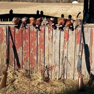 Meet your Posher, Colin